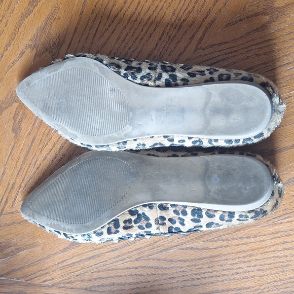 Expression Flats - Picture 8 of 8